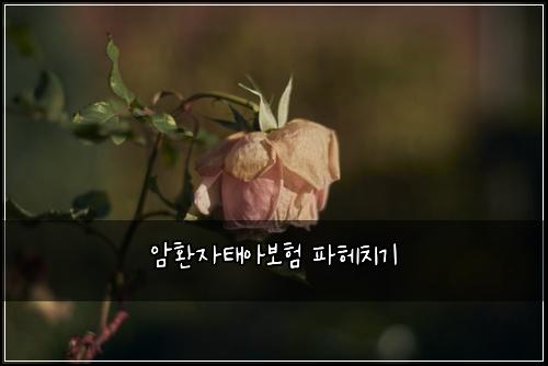 암환자태아보험 파헤치기 