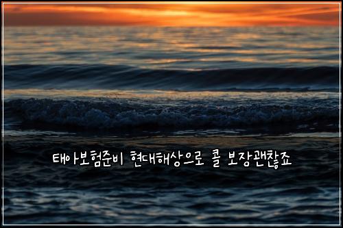 태아보험준비 현대해상으로 콜 보장괜찮죠