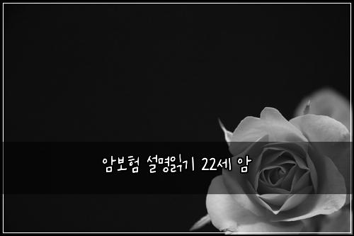 ์๋ณดํ ์ค๋ช
์ฝ๊ธฐ 22์ธ ์