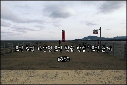 토익 취업 가산점 토익 학습 방법 : 토익 문제 #250