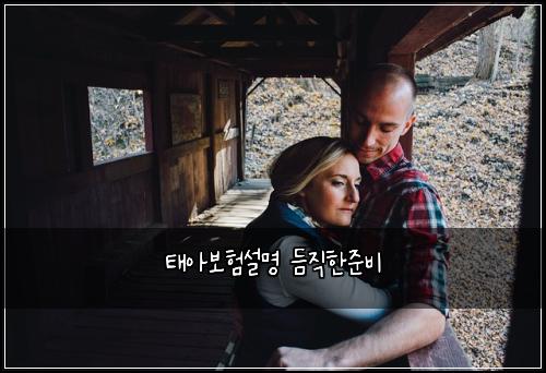 ํ์๋ณดํ์ค๋ช
๋ฌ์งํ์ค๋น