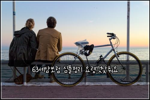 63์ธ์๋ณดํ ์ฌํ์ ๋ฆฌ ์๋ น๊ป๋ฎ์ถฐ์