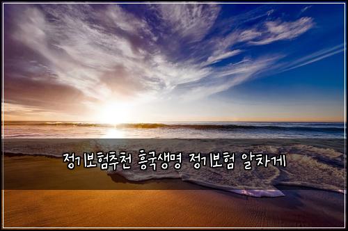 정기보험추천 흥국생명 정기보험 알차게
