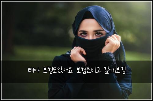 태아 보험도있어요 보험료비교 깊게보깅
