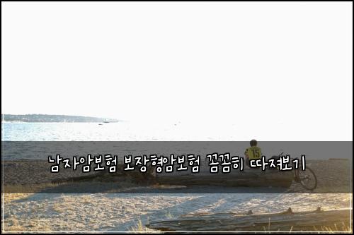 남자암보험 보장형암보험 꼼꼼히 따져보기