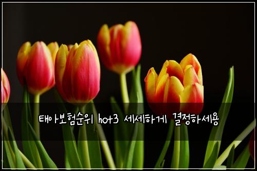 태아보험순위 hot3 세세하게 결정하세용