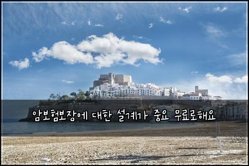 μ보ν보μ₯μ λν μ€κ³κ° μ€μ 무λ£λ‘ν΄μ