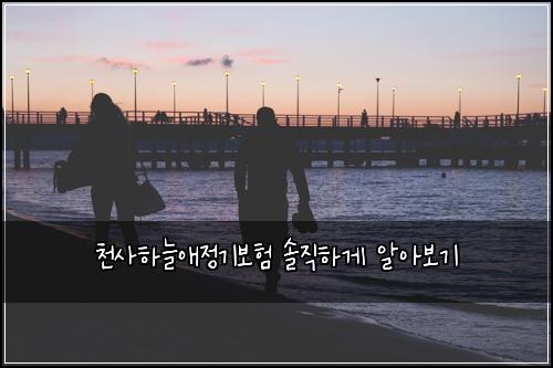 천사하늘애정기보험 솔직하게 알아보기