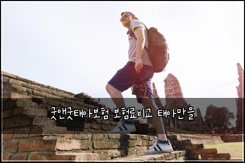 굿앤굿태아보험 보험료비교  태아만을