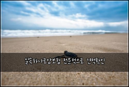 실속하나로암보험 전문적으로  견적확인