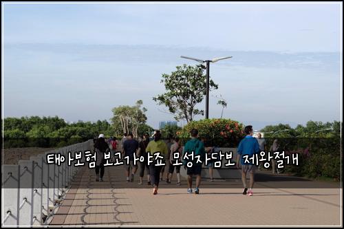 태아보험 보고가야죠  모성자담보 제왕절개