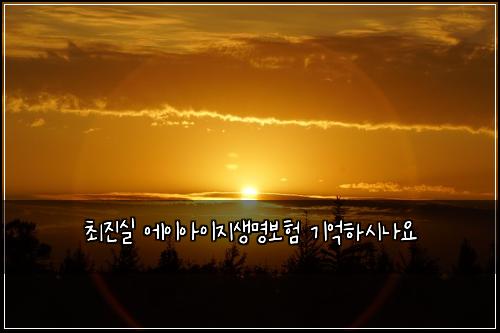 최진실 에이아이지생명보험 기억하시나요
