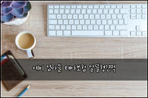 ์๋น ์๋ง๋ค ํ์๋ณดํ ์๋ฐํ๊ฒฌ์ 