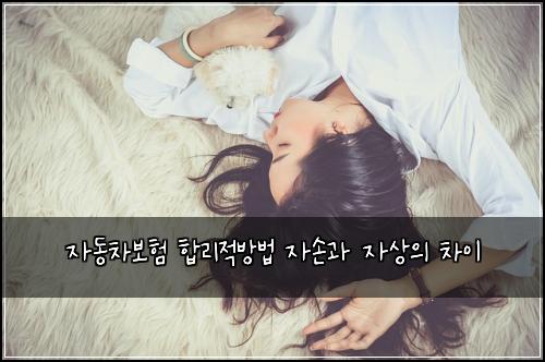 자동차보험 합리적방법  자손과 자상의 차이