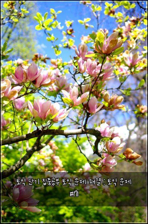 토익 단기 집중공부 토익 문제 해결 : 토익 문제 #171