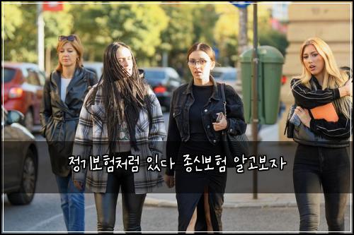 정기보험처럼 있다 종신보험 알고보자