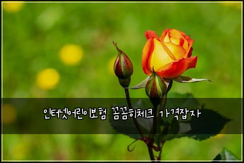 인터넷어린이보험 꼼꼼히체크  가격잡자