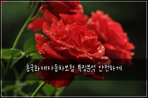 ํฅ๊ตญํ์ฌ์๋์ฐจ๋ณดํ ํน์ง๋ถ์ ์์ ํ๊ฒ