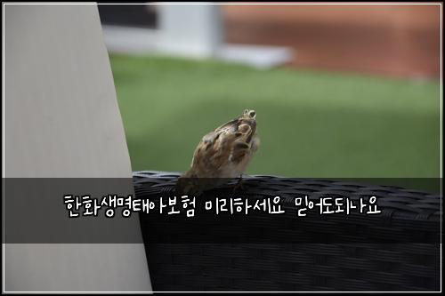 ํํ์๋ช
ํ์๋ณดํ ๋ฏธ๋ฆฌํ์ธ์ ๋ฏฟ์ด๋๋๋์