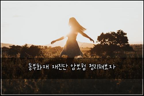 동부화재 재진단 암보험 정리해보자 