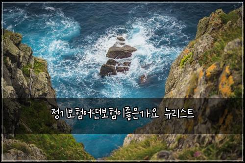 정기보험어떤보험이좋은가요 뉴리스트