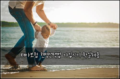 ํ์๋ณดํ ํ๋ช
์ ํ๋ฒ ๊ฐ์
์๊ธฐ ํ์คํด์ฉ