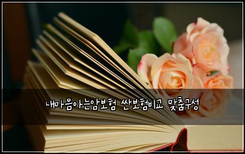 ๋ด๋ง์์๋์๋ณดํ ์ผ๋ณดํ๋น๊ต ๋ง์ถค๊ตฌ์ฑ
