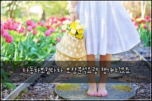μλ차보ννμ°¨ 보μ₯λΆμμλ Ή μ±κ²¨μΌκ² μ£