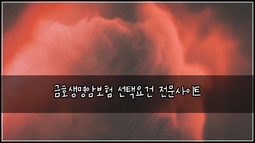 금호생명암보험 선택요건  전문사이트