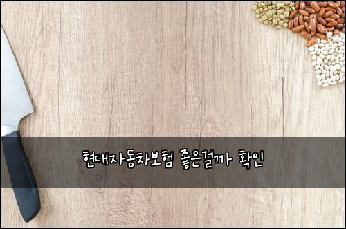 현대자동차보험 좋은걸까  확인