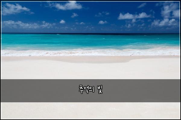 추억의 빛