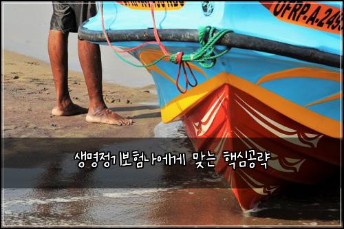 생명정기보험나에게 맞는 핵심공략