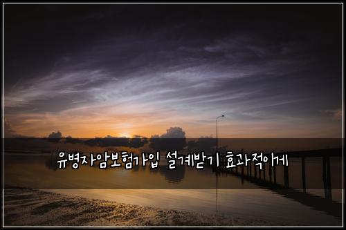 μ λ³μμ보νκ°μ
μ€κ³λ°κΈ° ν¨κ³Όμ μ΄κ²