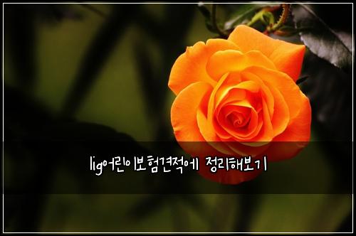 lig어린이보험견적에 정리해보기