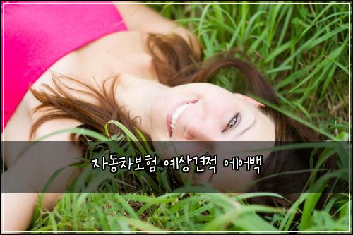 ์๋์ฐจ๋ณดํ ์์๊ฒฌ์ ์์ด๋ฐฑ