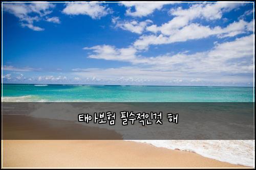 태아보험 필수적인것  해