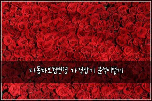 ์๋์ฐจ๋ณดํ๋ณ๊ฒฝ ๊ฐ๊ฒฉ์ก๊ธฐ ๋ถ์์ด๋ ๊ฒ