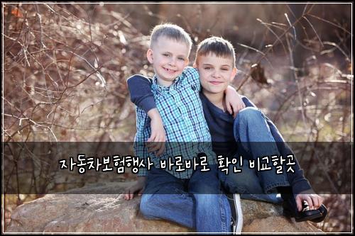 자동차보험행사 바로바로 확인 비교할곳