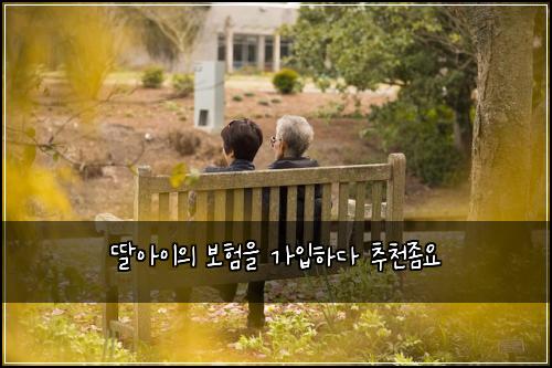 딸아이의 보험을 가입하다 추천좀요