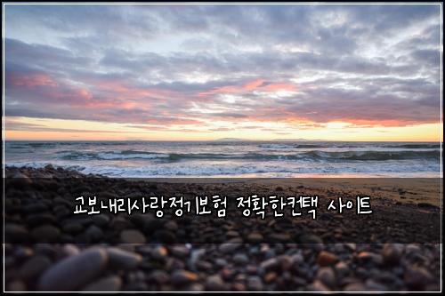 교보내리사랑정기보험 정확한컨택  사이트