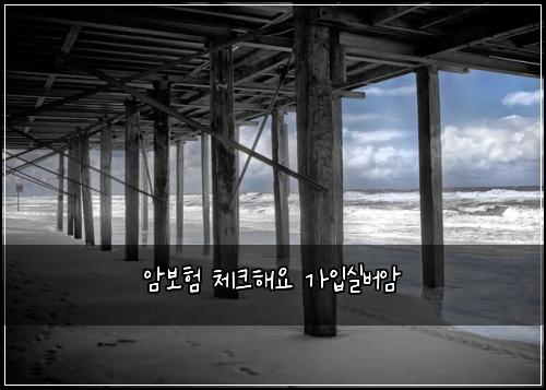 ์๋ณดํ ์ฒดํฌํด์ ๊ฐ์
์ค๋ฒ์