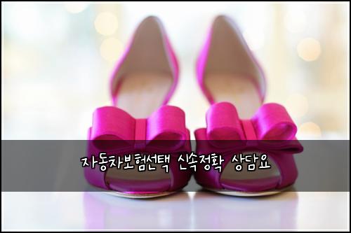 자동차보험선택 신속정확 상담요