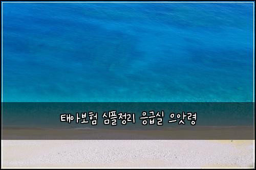 ํ์๋ณดํ ์ฌํ์ ๋ฆฌ ์๊ธ์ค ์ผ์๋ น