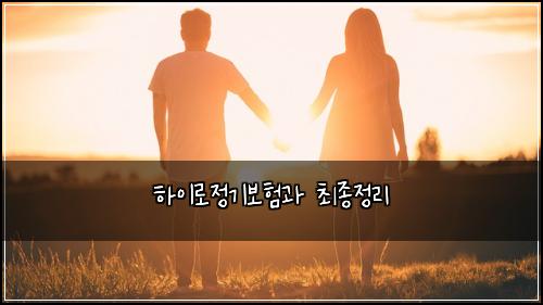 하이로정기보험과 최종정리