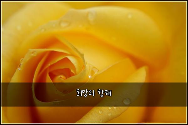 ํฌ๋ง์ ํญํด