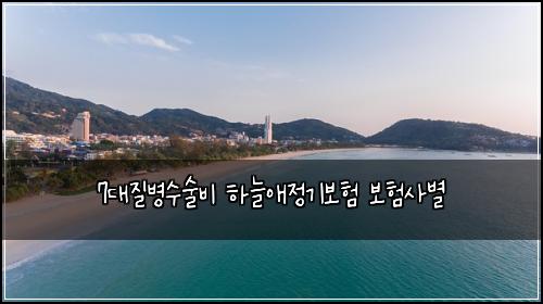 7대질병수술비 하늘애정기보험 보험사별 