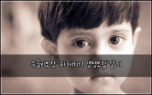 수술비보장 파헤치기 생명보험 알기