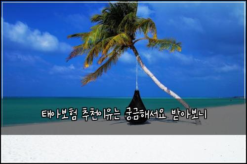 ํ์๋ณดํ ์ถ์ฒ์ด์ ๋ ๊ถ๊ธํด์์ ๋ฐ์๋ณด๋