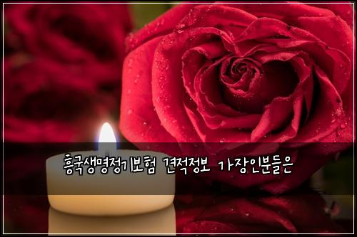 ํฅ๊ตญ์๋ช
์ ๊ธฐ๋ณดํ ๊ฒฌ์ ์ ๋ณด ๊ฐ์ฅ์ธ๋ถ๋ค์