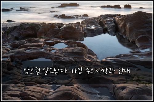 암보험 알고받자  가입 주의사항과 안내
